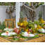 Tropicana Placemat