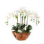 Real Touch Phalaenopsis Orchid Floral Arrangement in Planter