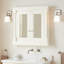 Claudia 34" Framed Double Door Medicine Cabinet-418097963