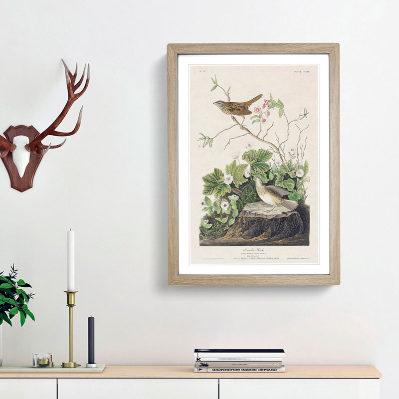 Lincoln Finch Birds by John Audubon - Picture Frame Painting Print, 48cm H x 36cm W x 2cm D, Oak Framed