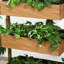 Lit de jardin vertical - Jardinière en bois orange à 4 niveaux pour les herbes extérieures