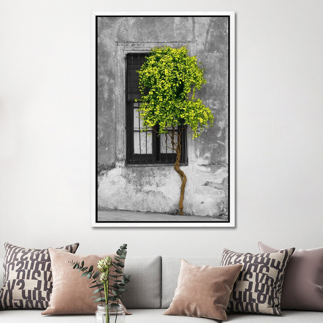 Panoramic Images - Print on Canvas