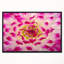Photographie « smooth white rose pétales »-26689612-35062998