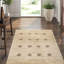 Hand-Knotted High-Quality Beige Area Rug
