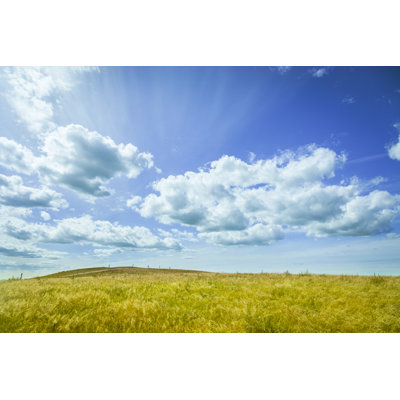 Prairie Prairie par Shilh - Photographie sur toile tendue