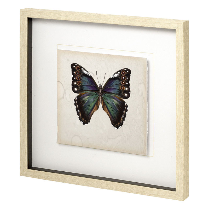 «Butterfly Study II» par Melissa Wang a, reproduction d'art encadrée à la main mat sous verre, Étude de papillons II