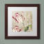 «Peppermint Tulips I» par Jadaya, impression encadrée-20095089-20095090-70650026