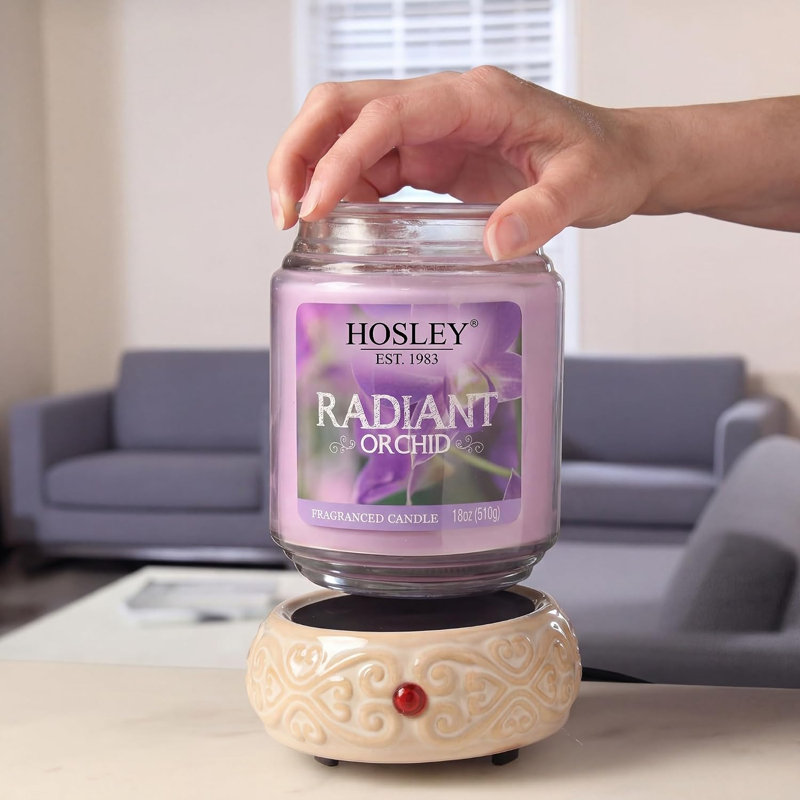 Réchaud électrique en céramique pour bougie parfumée Hosley Potpourri liquide idéal pour les spas et les huiles essentielles