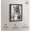 «Glam Roll Raccoon Bathroom Decor Shadowbox» par Art Remedy-120055448-120055447
