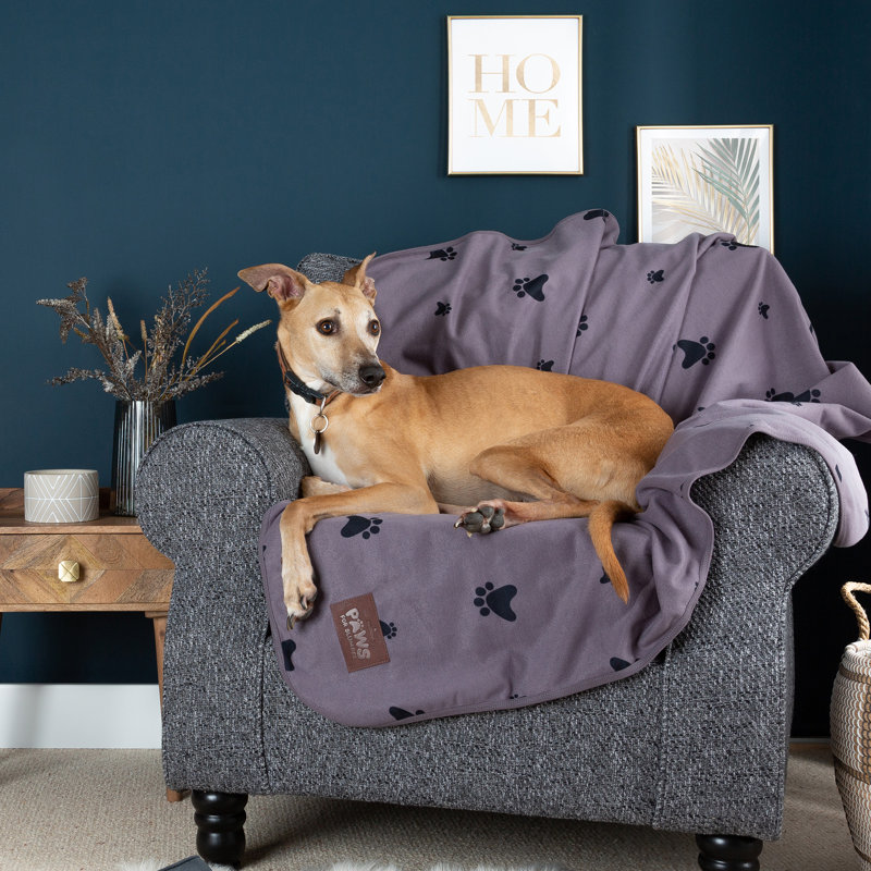 Slumberdown Paws For Slumber Waterproof Machine Washable Pet Blanket, 100cm H x 80cm W x 2cm D