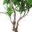57" Artificial Plumeria Tree in Pot