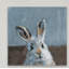 Bonjour Bonjour, reproduction sur toile tendue-27175437