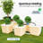 Growing Kit Bucket Drip Growing System