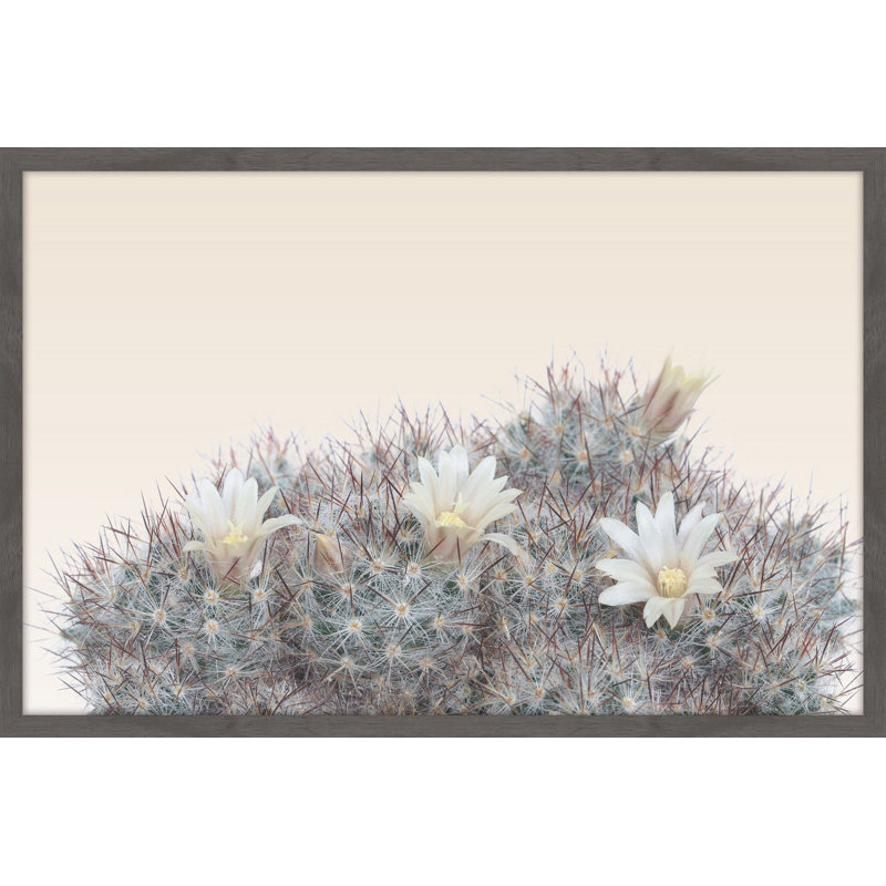 Fleur De Desert - Single Picture Frame Print, 61 cm H x 91 cm W x 4 cm D