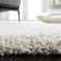 Assar Performance Indoor Rug