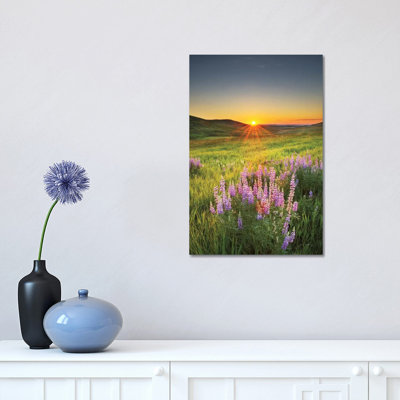 " Prairie Sunrise " by Alan Majchrowicz