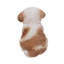 Statue de chiot Shih Tzu assis-16443397