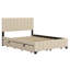 Upholstered Platform Bed With 2 Drawers And Trundle-115709512