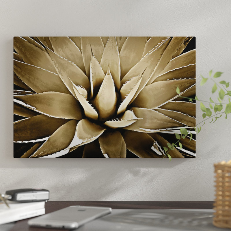 « taupe succulent iii », impression sur toile, H 18 po x l 26 po x P 1,5 po, Papier d'art encadré noir, Pas de tapis