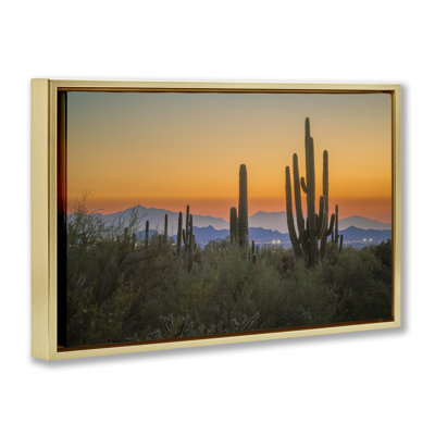 «Cacti Looming Sunset Floater» par Marty Hulsebos