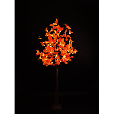 Lighted Tree