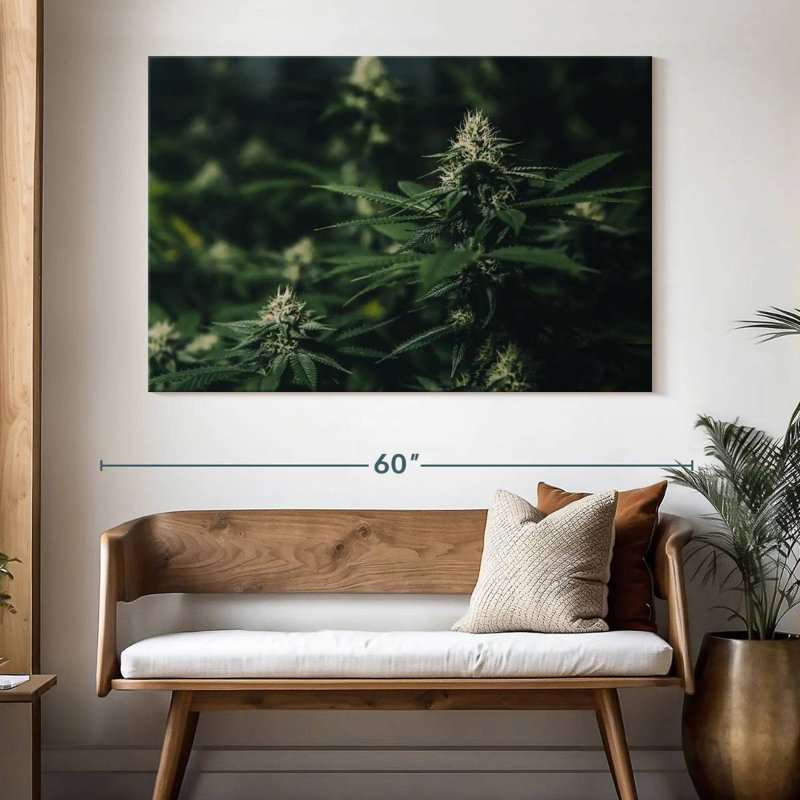 Fresh Marijuana, 34" H x 51" W