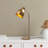 Desk Lamp-415370943