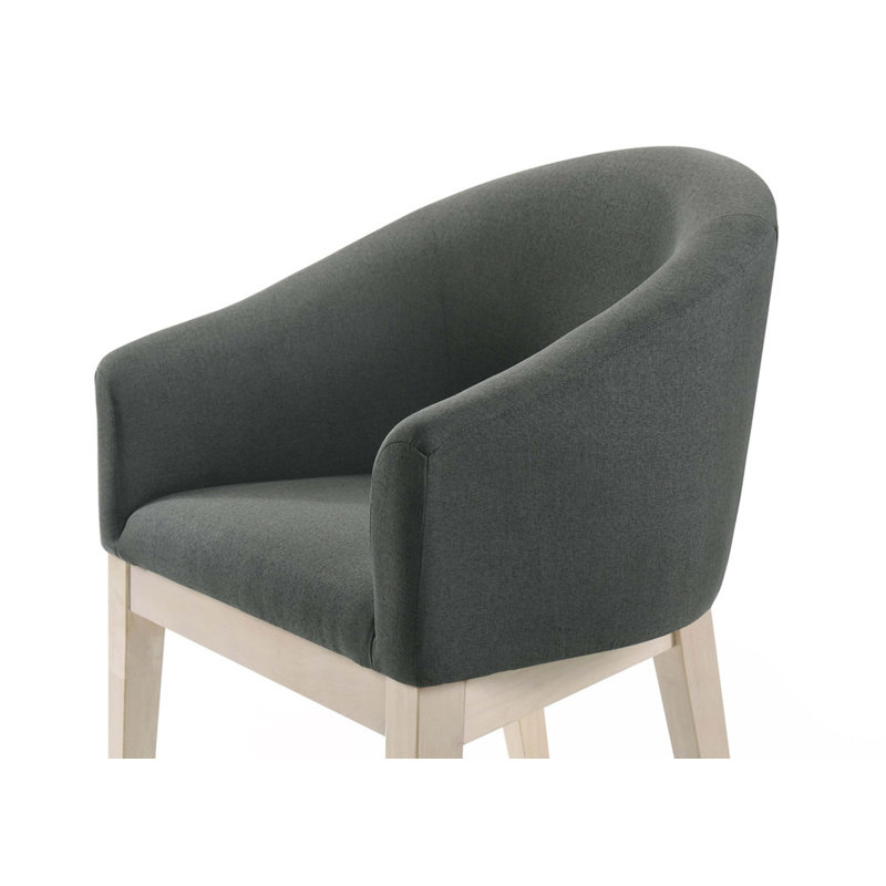 Ensemble de 2 chaises d'appoint Contemporary