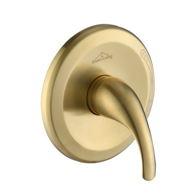 Shower Valve