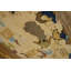 Antique Textile Chinese Allover Floral Beige 1850s Rug