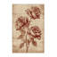 Tapis beige moderne et contemporain lavable à la machine Soho Valentines - reliure beige-1060113555