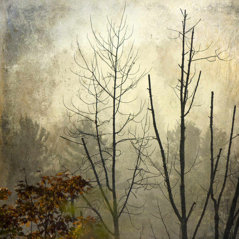 "Before the First Snow" Print on Wrapped Canvas, 32" H x 32" W x 1.5" D
