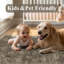 Tapis oriental lavable à la machine avec envers antidérapant Stella-1270991594