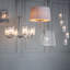 Norwalk 1 - Light Bright Nickel Lantern Pendant