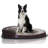 Oval Orthopedic Memory Foam Pet Bed-118644623-72100146-72100144