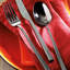 Linea Q Stainless Steel Serving Spoon