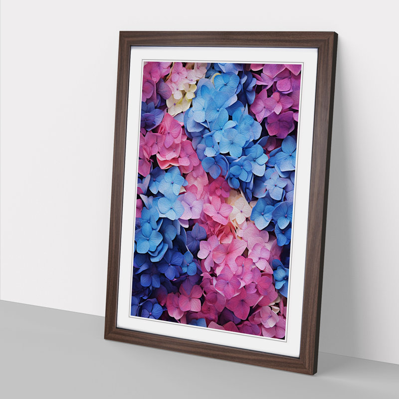 Hydrangea Colour Field - Framed Print, Walnut Framed, 64cm H x 46cm W x 2cm D