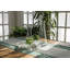 Glass Carafe-596986019