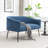 Upholstered Faux Fur Loveseat-1108305445-1108305449