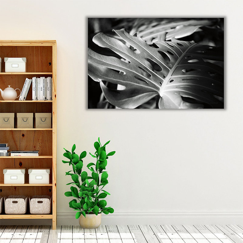Philodendron noir et blanc - reproduction d'art sur toile, H 20 po x l 30 po