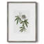 Tropical Botanical I, reproduction encadrée - bois massif 51188-266160253