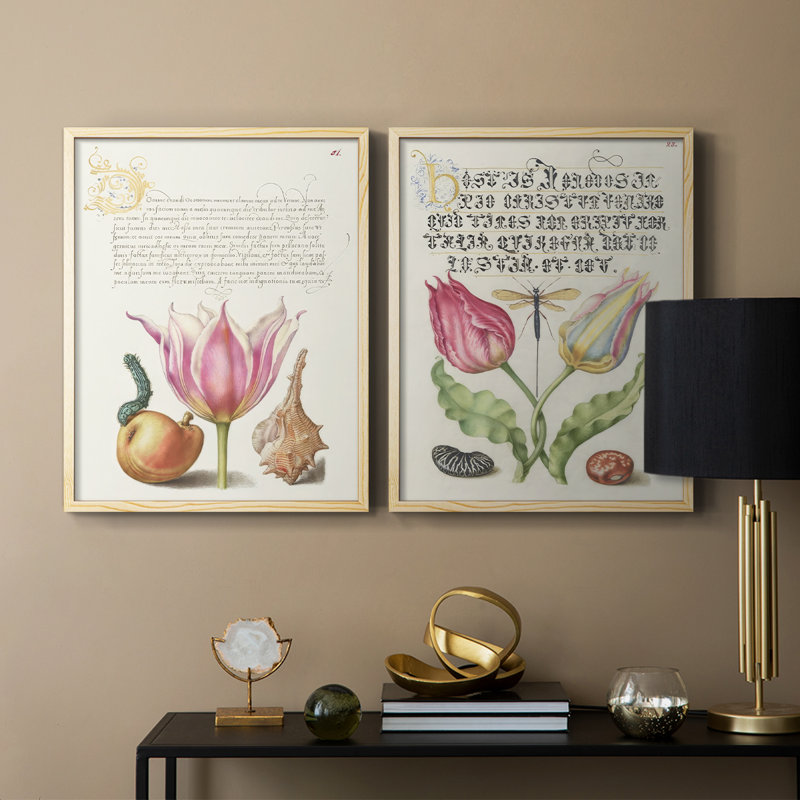 Reproduction encadrée Hoefnagel Tropical Specples IV-Premium - prête à être accrochée - aucun clou requis - aucun clou requis