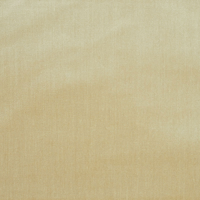 Venetian Silk Velvet Fabric, Oyster