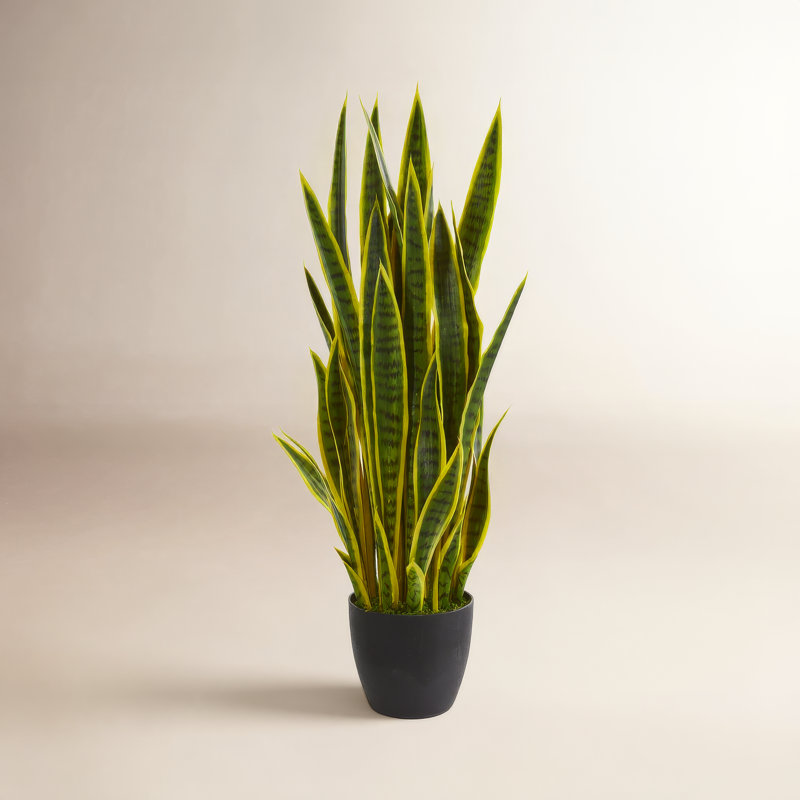Plante artificielle 38 po en pot, Jaune