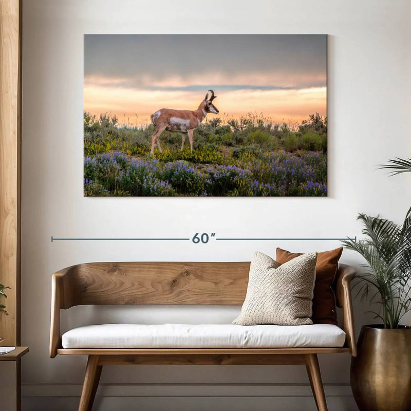 Antilope Brampt, H 32 po x l 48 po