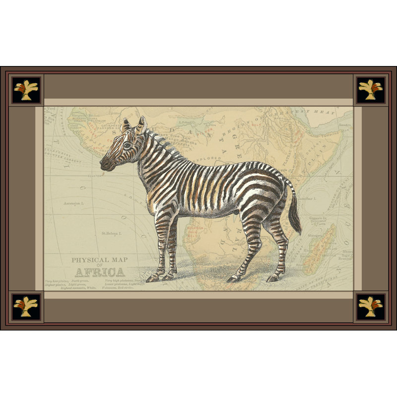 Zebra With Border I - Wrapped Canvas Print, 51cm H x 76cm W x 3.8cm D