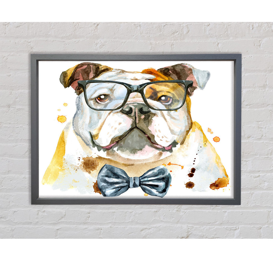 Die Bulldogge mit Brille Gerahmter Druck