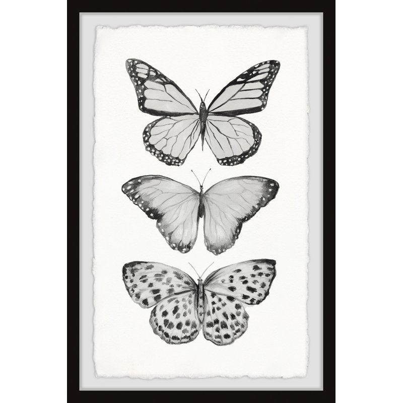 Butterfly Trio II by Marmont Hill - Single Picture Frame Print, 61cm H x 41cm W x 3.81cm D
