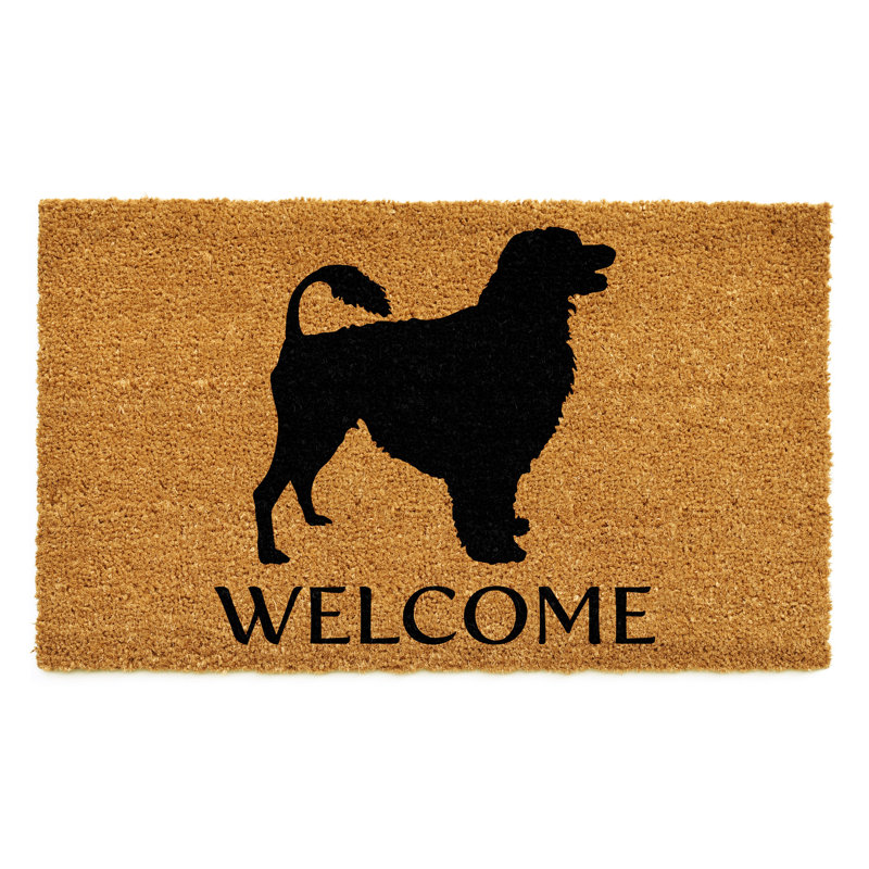 Non-Slip Indoor Doormat, 17" W x 29" L