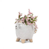 White Cat With Striped Tail Planter